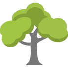 Fremont Tree Removal Service